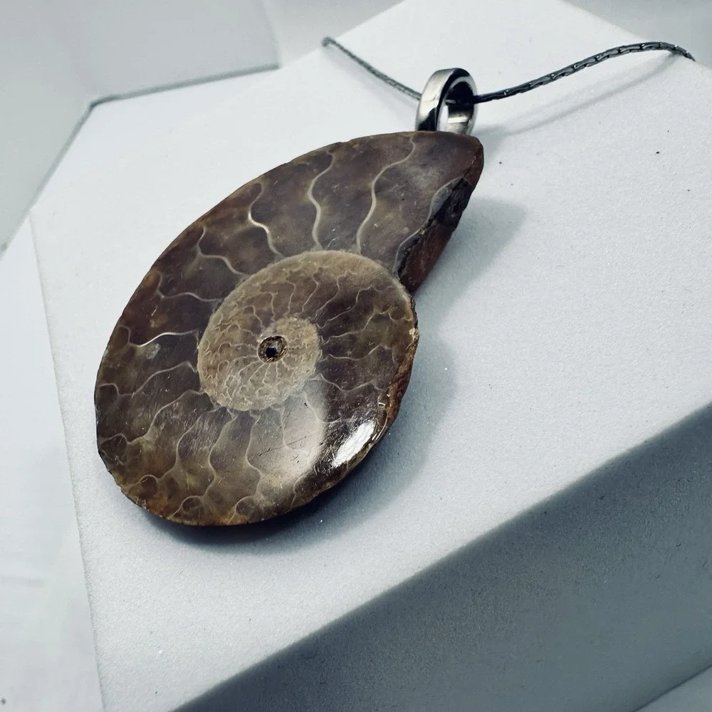 Ammonite Lg Fossil Pendant Necklace Brown Nautilus Shell Slice Silver Tone 18